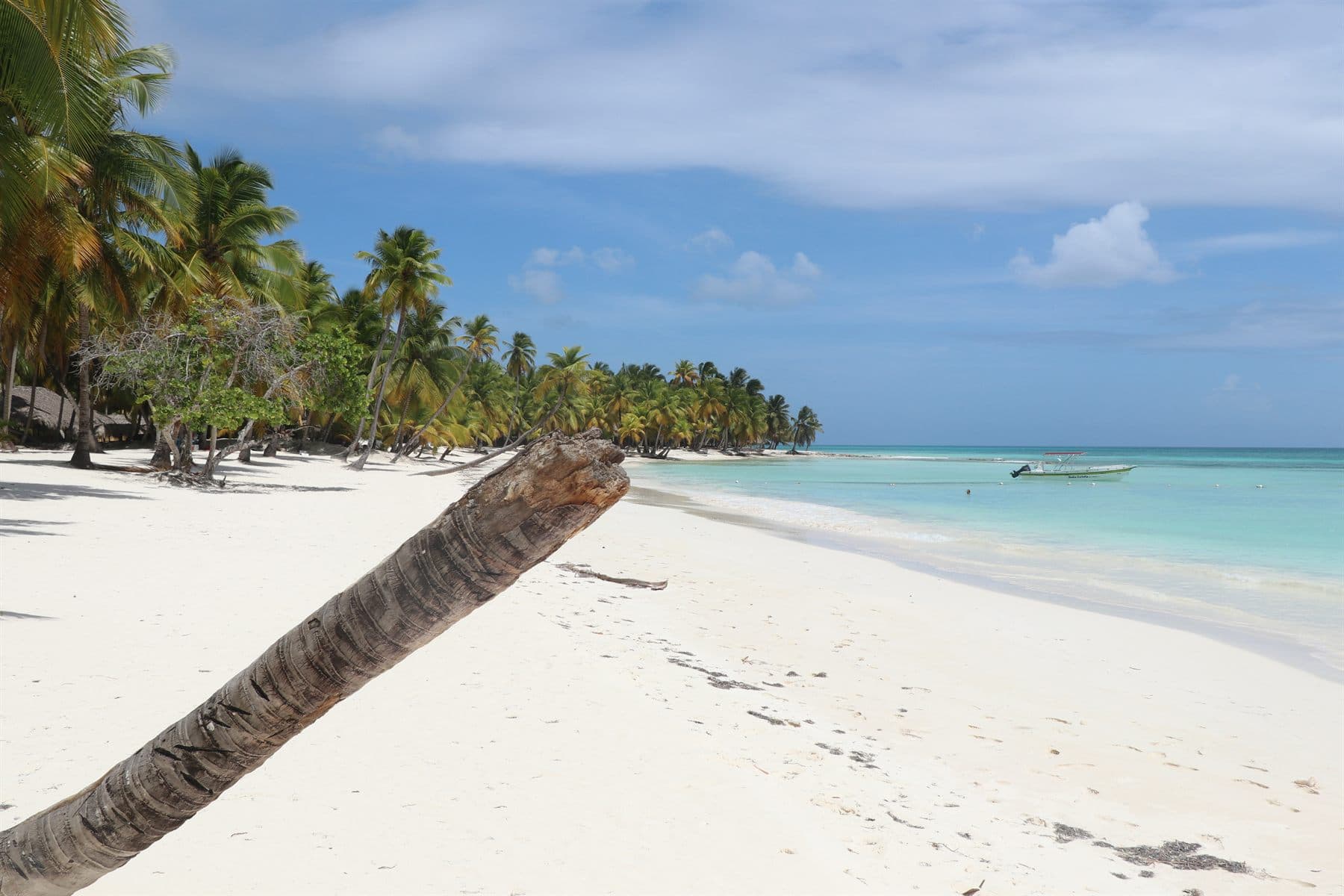 Real Saona Island experience
