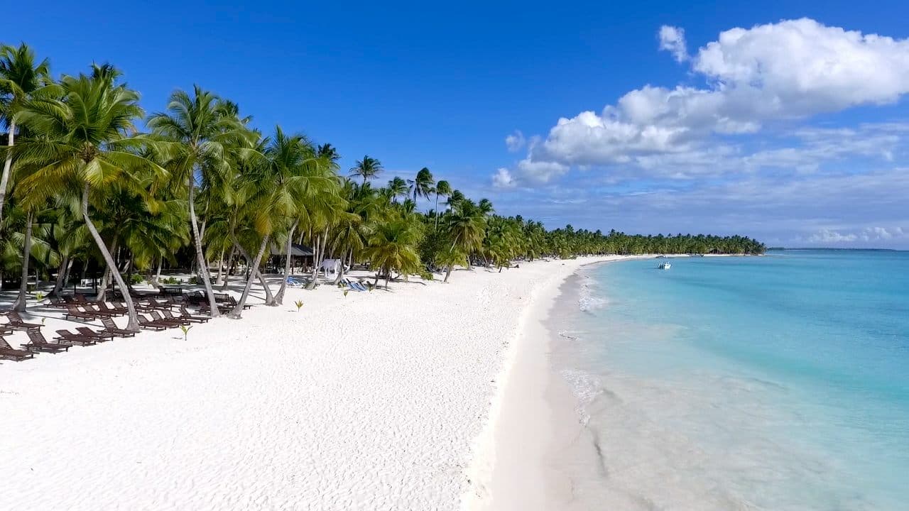 Real Saona Island experience